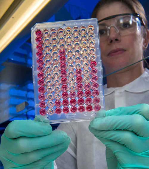 Mycobacterial Immunoassays